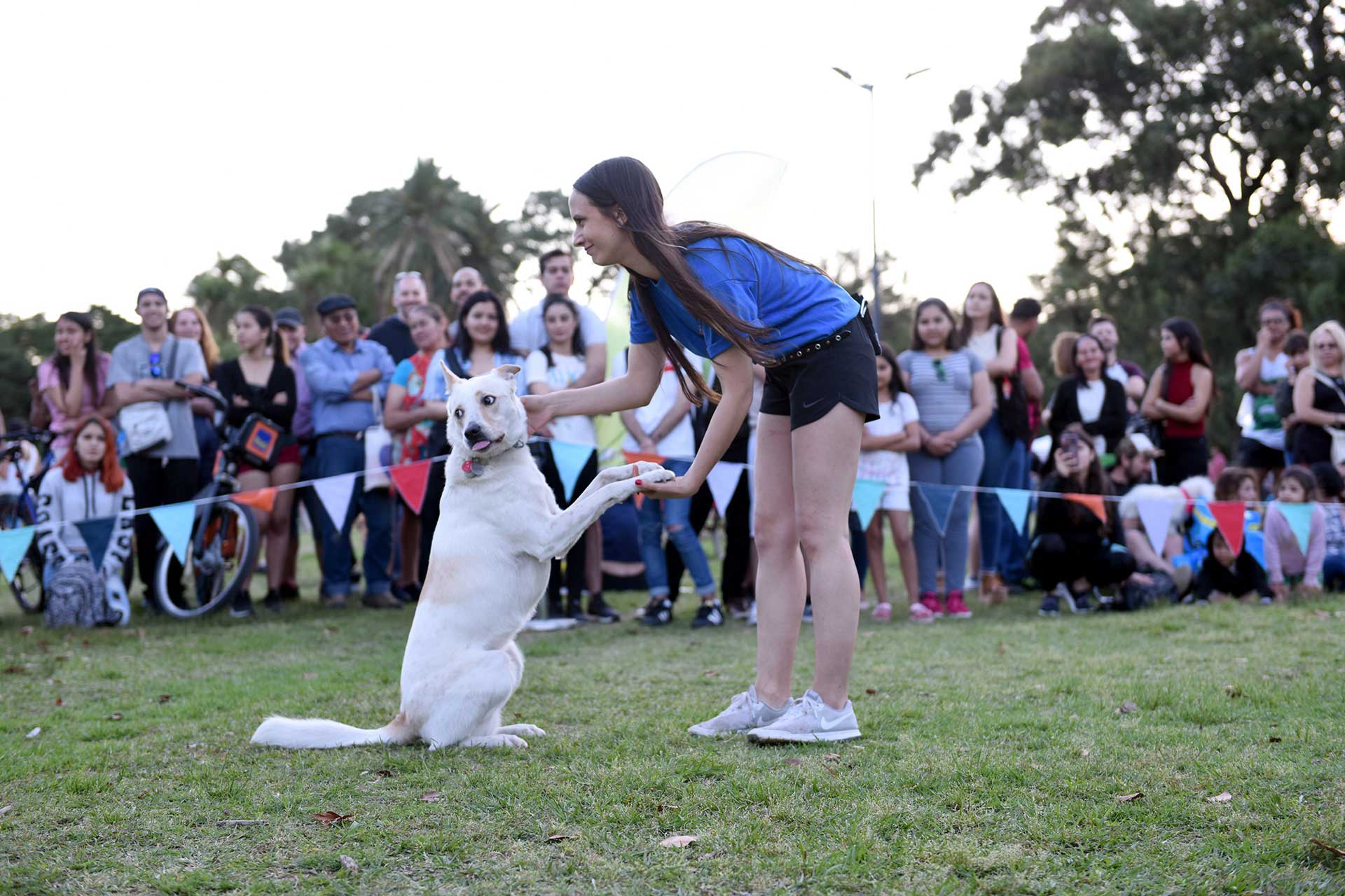 Fotografía de una chica, parte del staff, saludando a su perro sentado sobre sus 2 patas traseras. De fondo gran parte del público disfrutando del evento. Cobertura del evento 'Mascotas de la Ciudad', organizado por el Gobierno de la Ciudad Autónoma de Buenos Aires